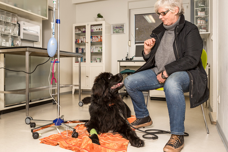 Innere Medizin Innere Medizin