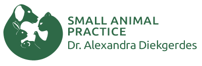 Small Animal Practice Dr. Alexandra Diekgerdes, Dr. Andrea Runge